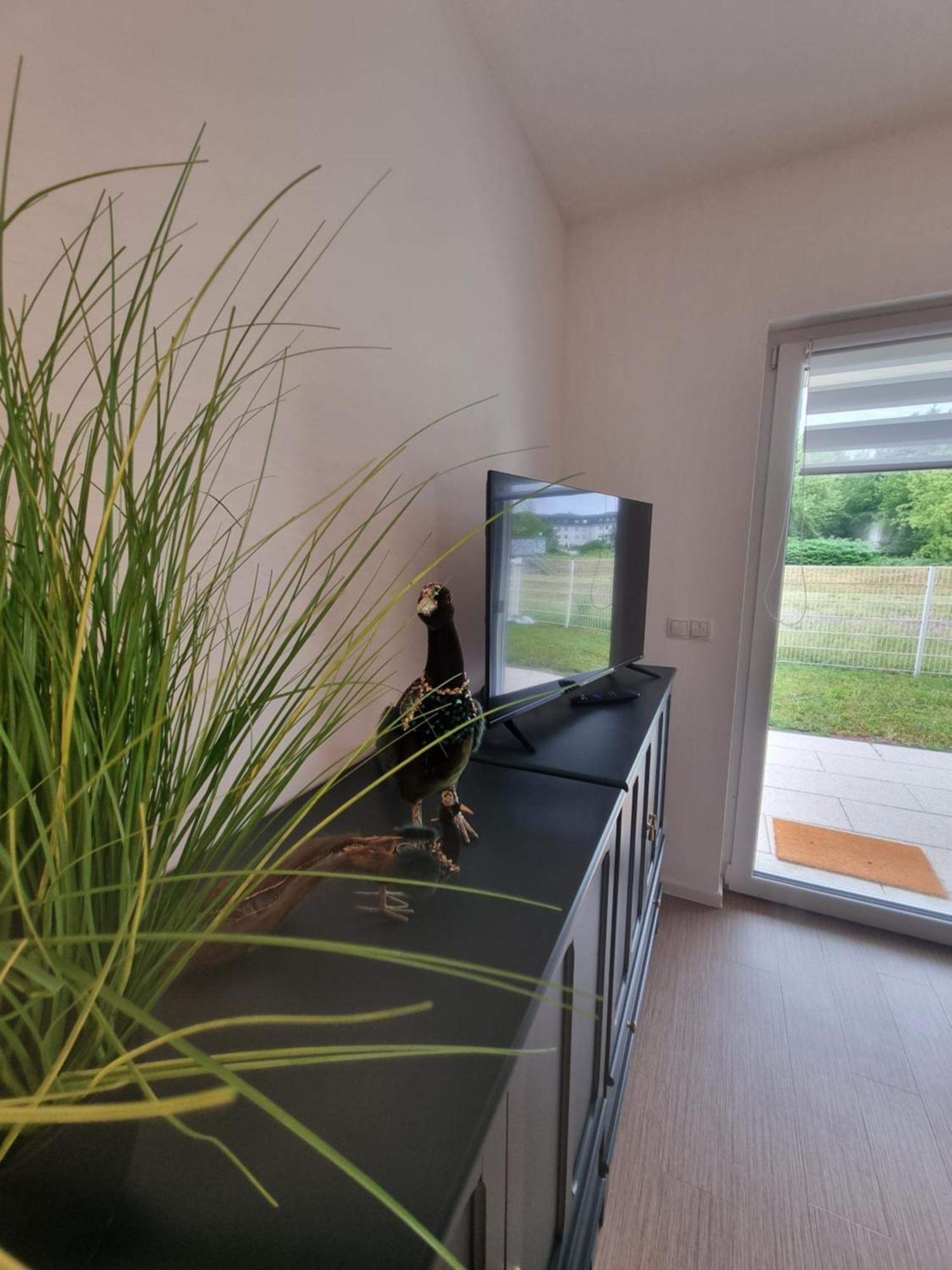 Ferienwohnung Im Palais Am See Am Goitzschesee Bitterfeld-Wolfen Ruang foto